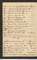 Nachlass Franz Steindachner, Brief und Beilage vonJ.G. Fischer an Franz Steindachner (08.03.1878), Inv.Nr. 132.01, Seite 4